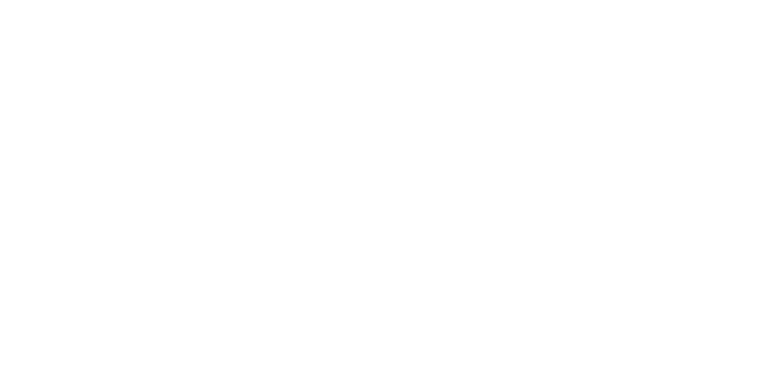cyberbulwark